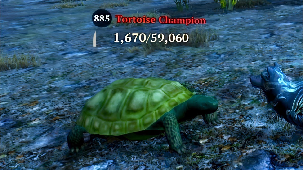 The Wolf - Tortoise Champion In Featured Dark Forest 🏆