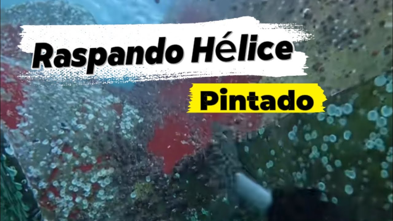 Retirada de Cracas do Hélice do Navio. (Propeller Barnacle Removal)