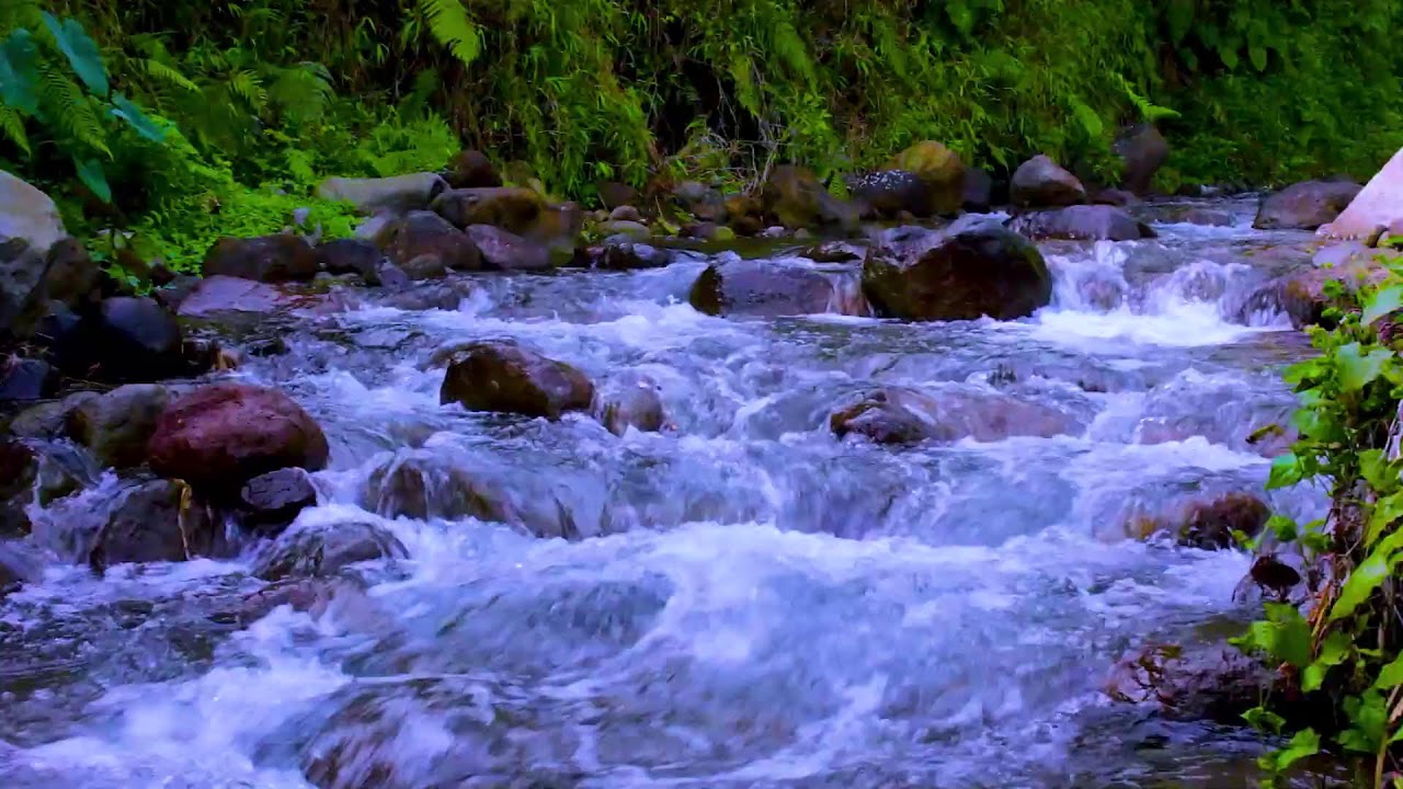 Quiet Night by the Mountain River | Relaxing White Noise Water Sounds for Deep Sleep
