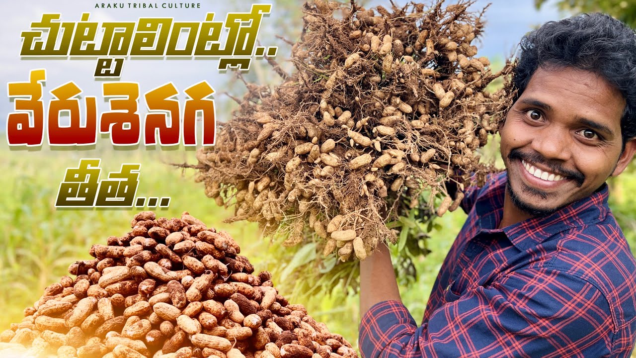 మొదటిసారి ఈ పని చెయ్యడం || ఆ పచ్చటి కొండల మధ్య వేడి వేడిగా తింటుంటే…|| Araku Tribal Culture