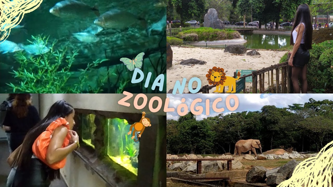 Ficamos no hotel do Vincenzo e fomos no zoológico | Vlog
