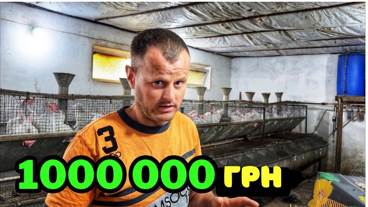 Ферма кроликів. Хотів заробити МІЛЬЙОН.