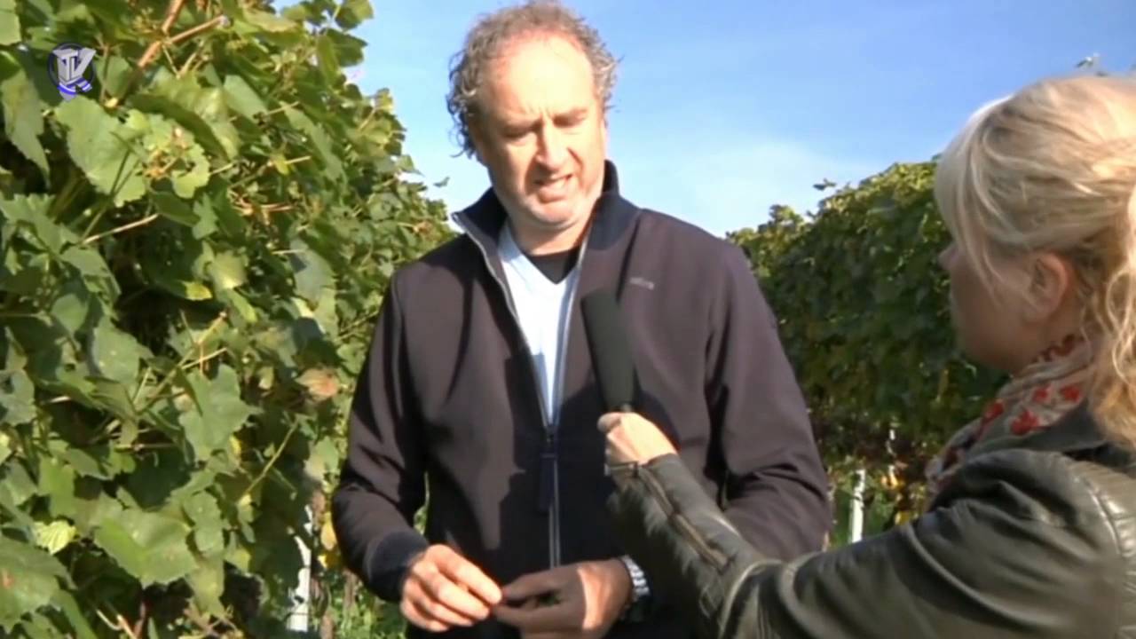 2016-11-05 Streekproeven Wijngoed Steenberg