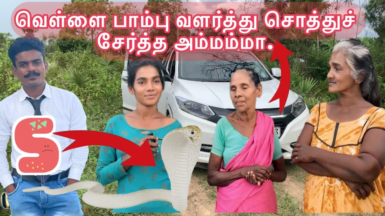 நாங்கள் செய்தது தவறாக இருந்தால் எங்களை மன்னிக்கவும்.#prank video @Mabro852#batticaloa #jaffna
