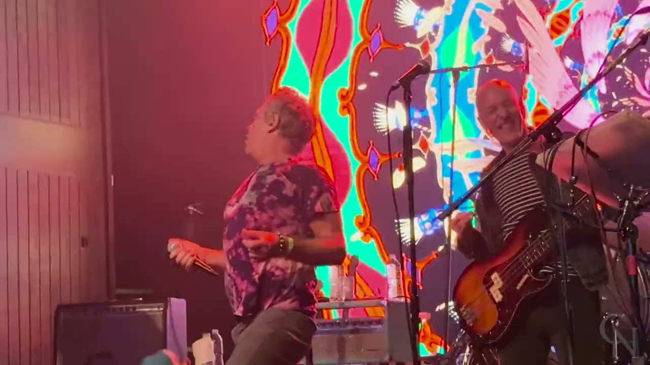 🎉 Tripping Daisy LIVE New Year’s Eve at TREES Dallas! 🎶✨ (Full Show)
