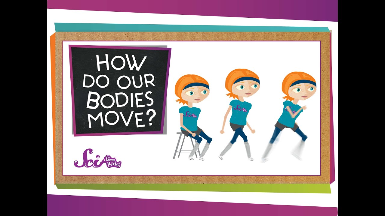 How Do Our Bodies Move?