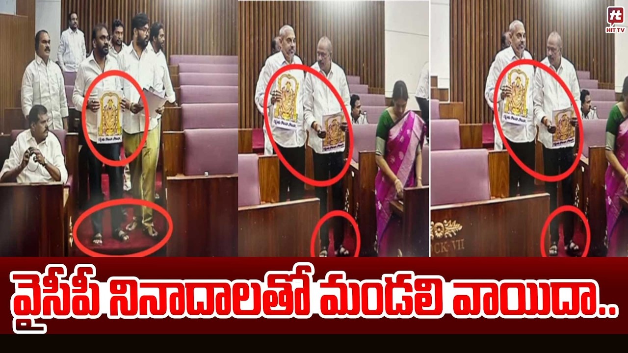 Ysrcp Leaders Protest in Legislative Council On Heritage Hindapur Dairy | Laddu Issue @hittvmix