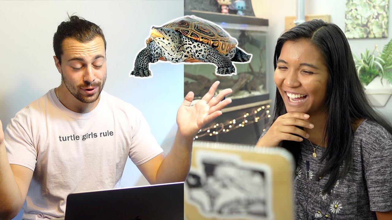 Reacting to YOUR Turtle Tanks, Tubs, and Ponds (ft. @DanTheTurtleMan_ )