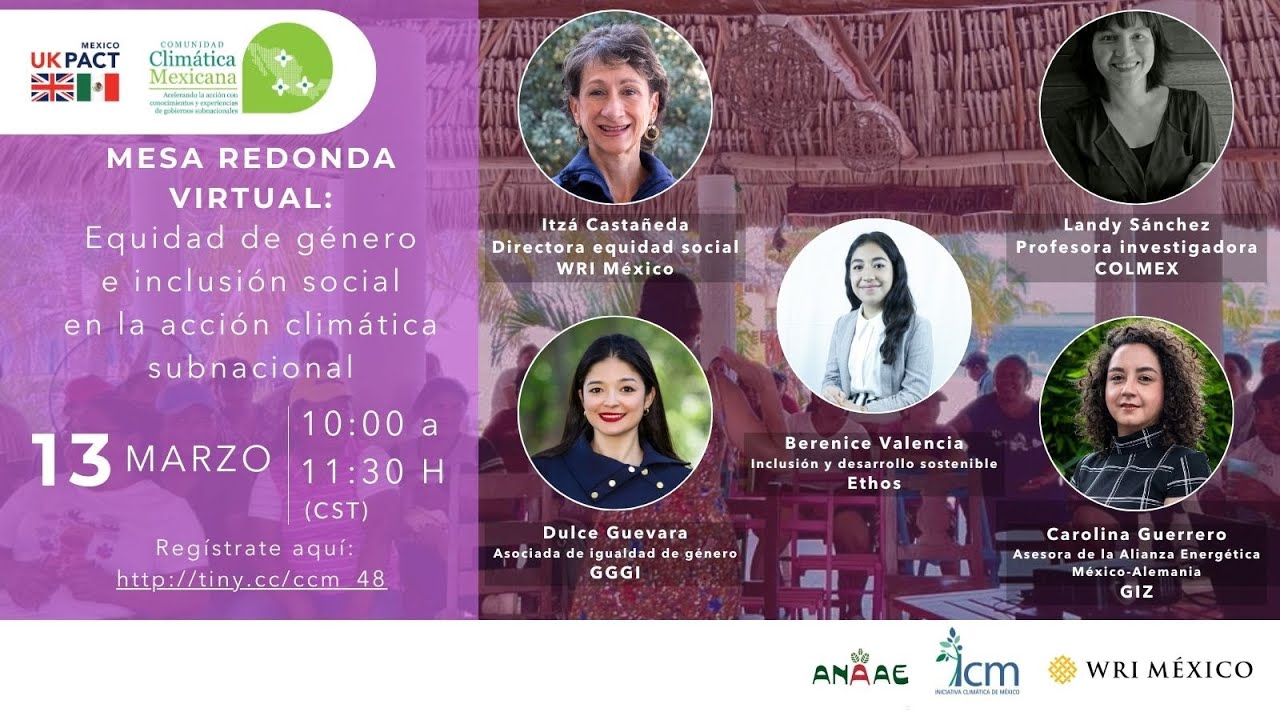 Mesa Redonda | Equidad de género e inclusión social en la acción climática subnacional