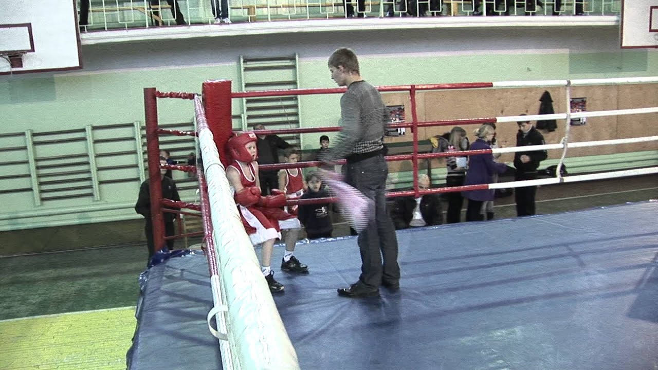 Бокс  в  Доброполье