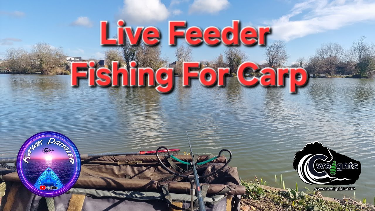 KayakDangler's Fishing Adventures  is live Feeder Fishing For Carp, #fishing #live #viral