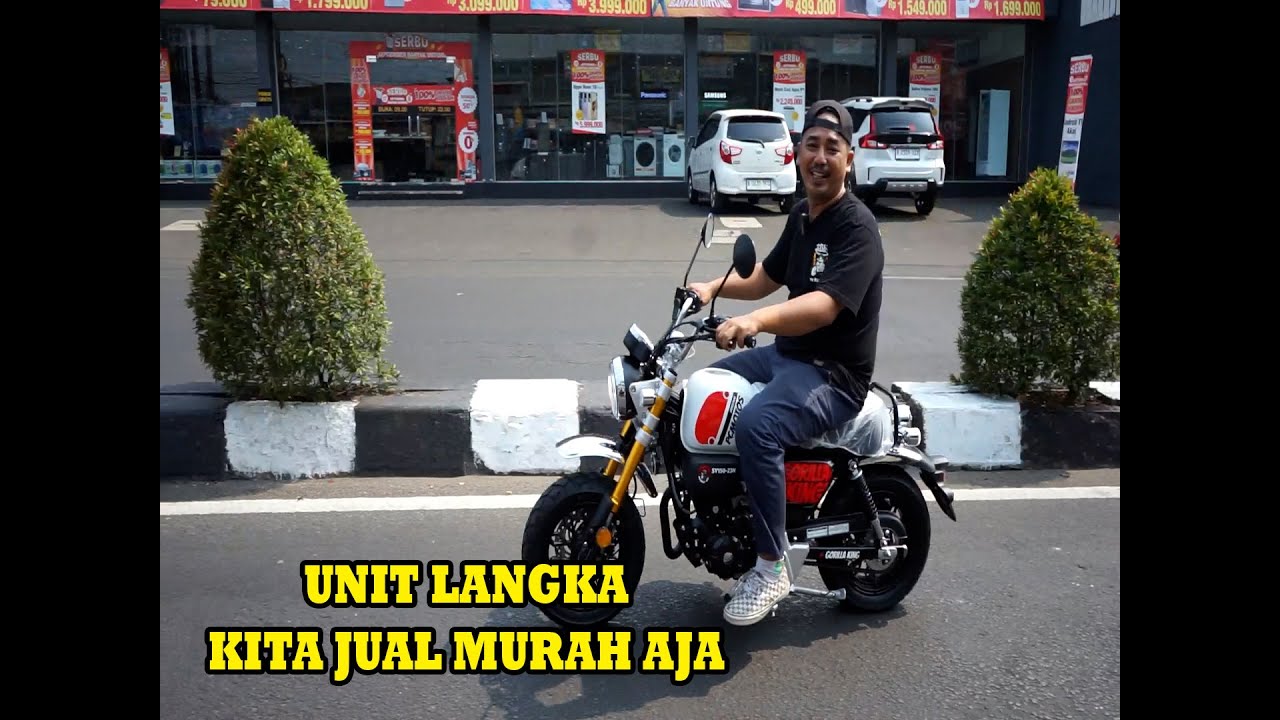 HONDA GORILLA KING REPLIKA DIOBRAL MURAH SAJA