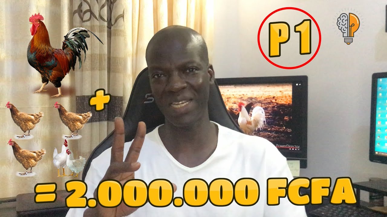 P1 - INVESTIR 20.000 FCA ET GAGNER PLUS DE 2.000.000 MILLIONS FCFA SUR 1 AN [ P1 ]