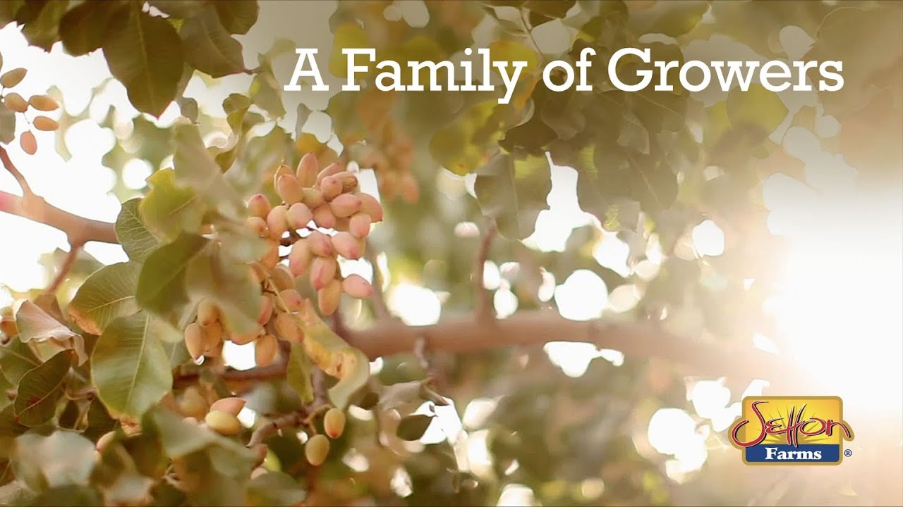 Setton Farms Segment 2 - A Family of Growers