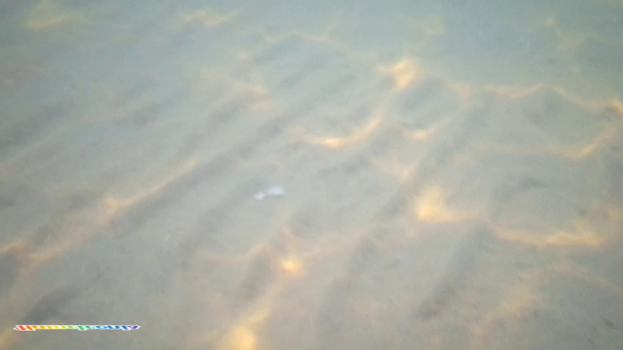 Smartphone GinZZu RS9602 & Underwater in salt water