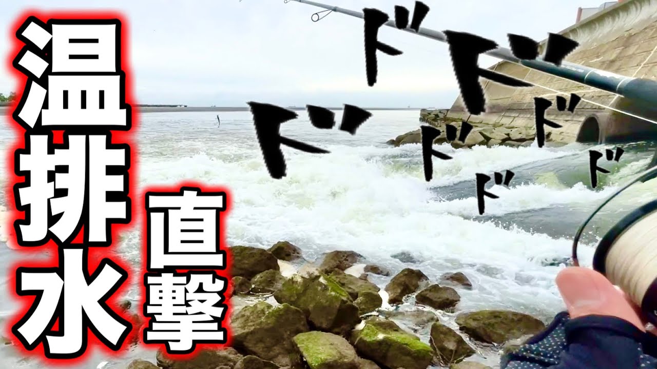 【養老川シーバス】温排水の真横からダイレクトアタックしたら爆釣できるのか？