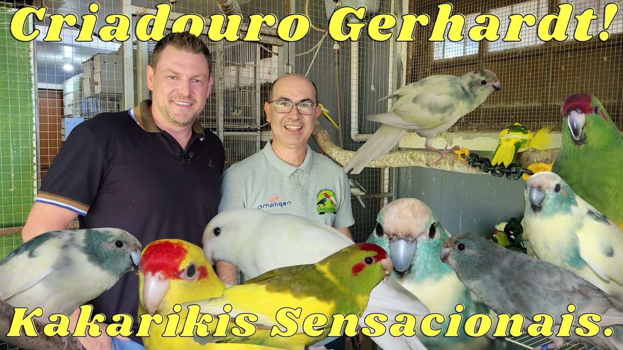 JÚNIOR GERHARDT ESPECIALISTA EM KAKARIKI!!!