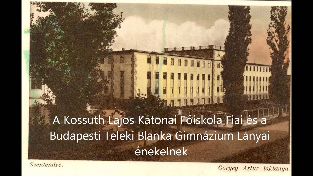 Erdő szélén iharfa
