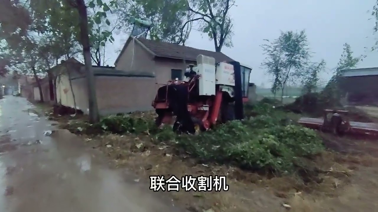 实拍山东菏泽农村，家家都进城买房，很多老房子无人住却荒废了