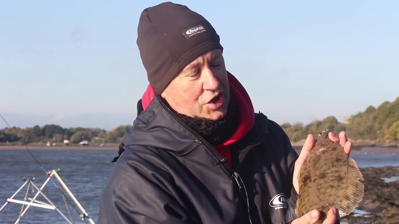North devon Fish Trail
