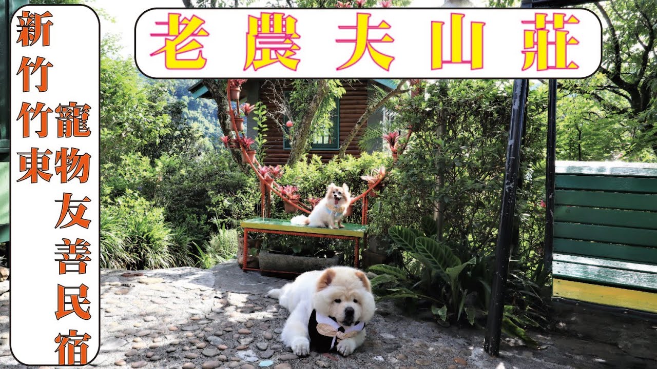 【寵物民宿】新竹竹東的小木屋寵物友善民宿 老農夫山莊