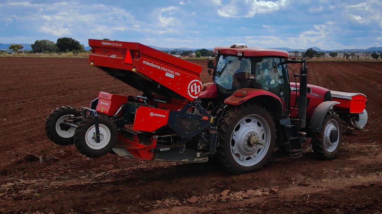 Potato planter | Dewulf MS2000 | Go&Grow Farm Solutions