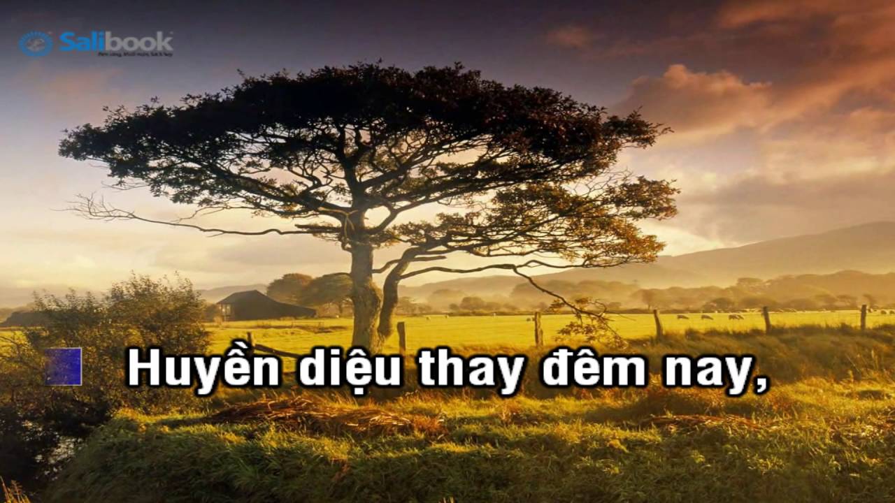 [Karaoke TVCHH] 321- HUYỀN DIỆU ĐÊM THÁNH - Salibook