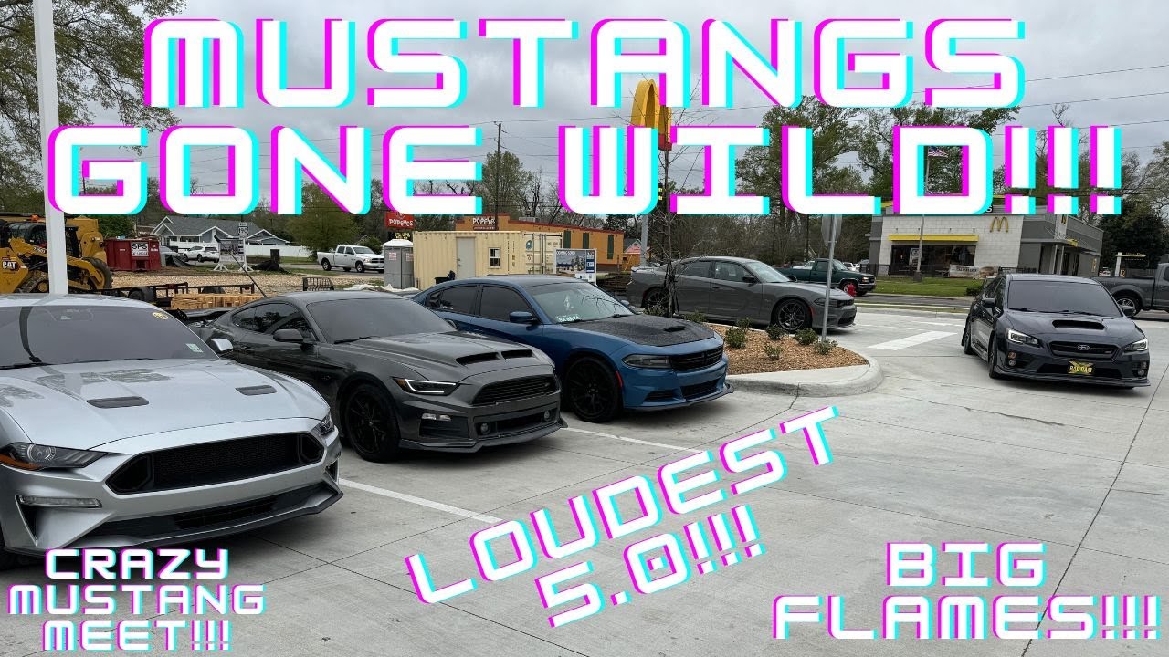 CRAZY MUSTANG MEET!!! - MUSTANG TAKEOVER!!!
