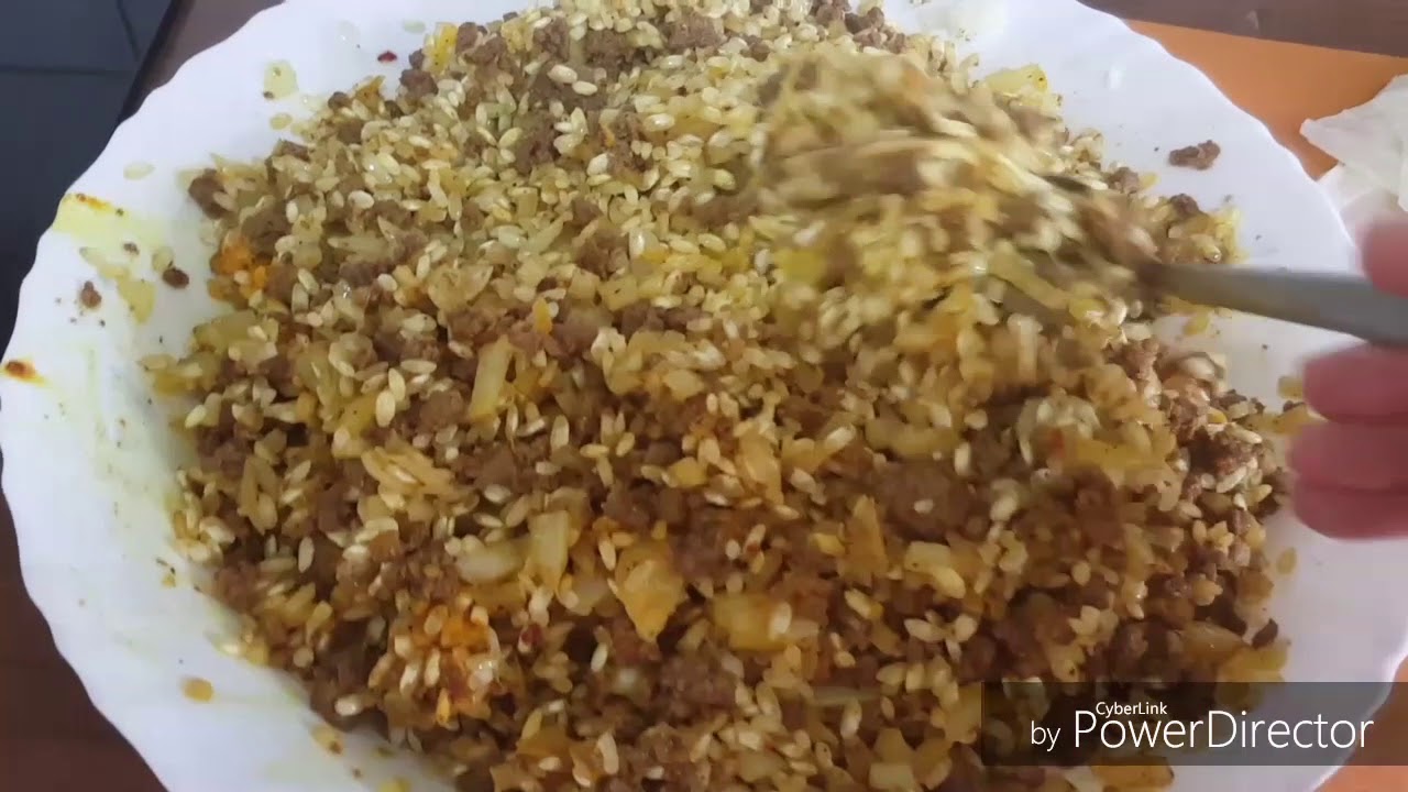 Tara Amin chonyati drwst krdni dolma kalarm wata yapraxi kalarm