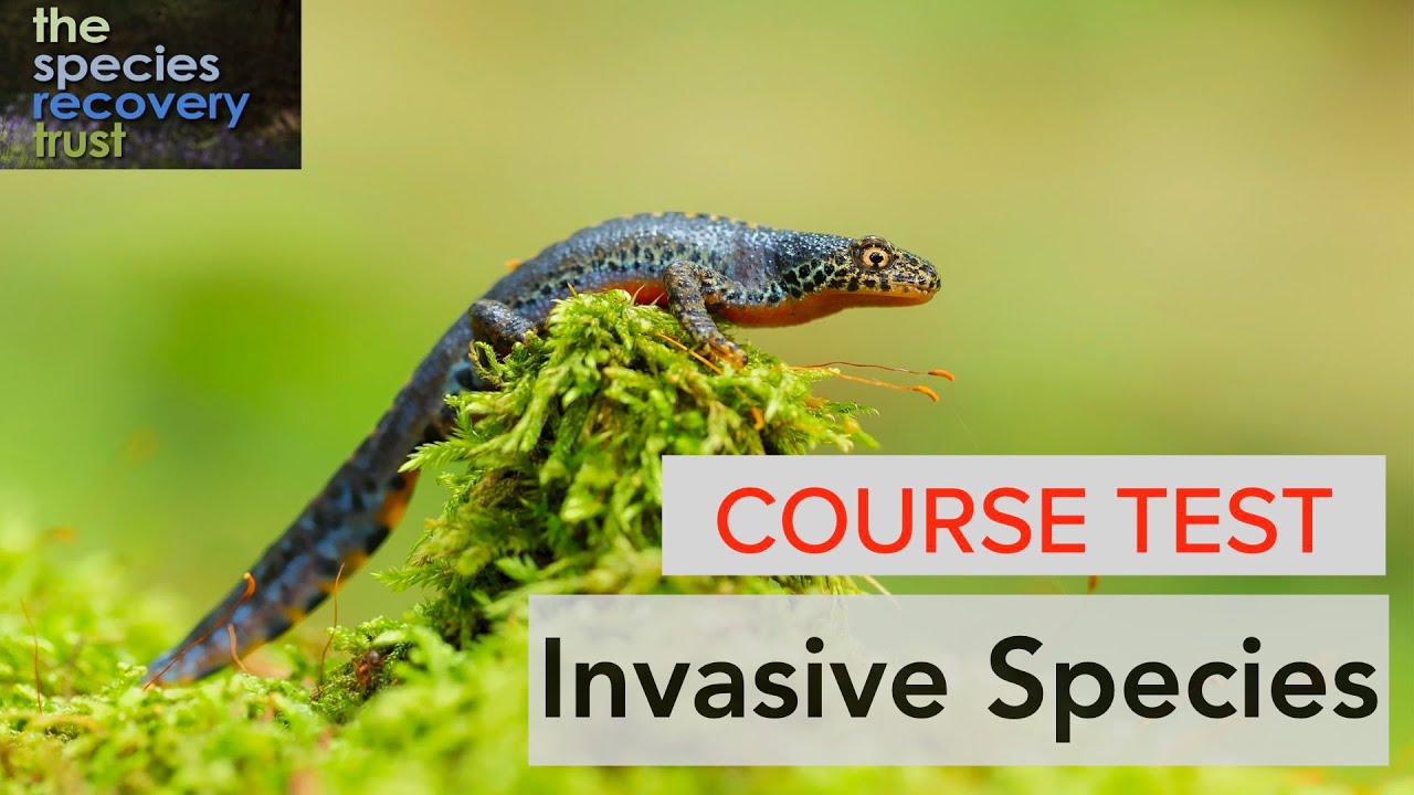 Invasives online course test