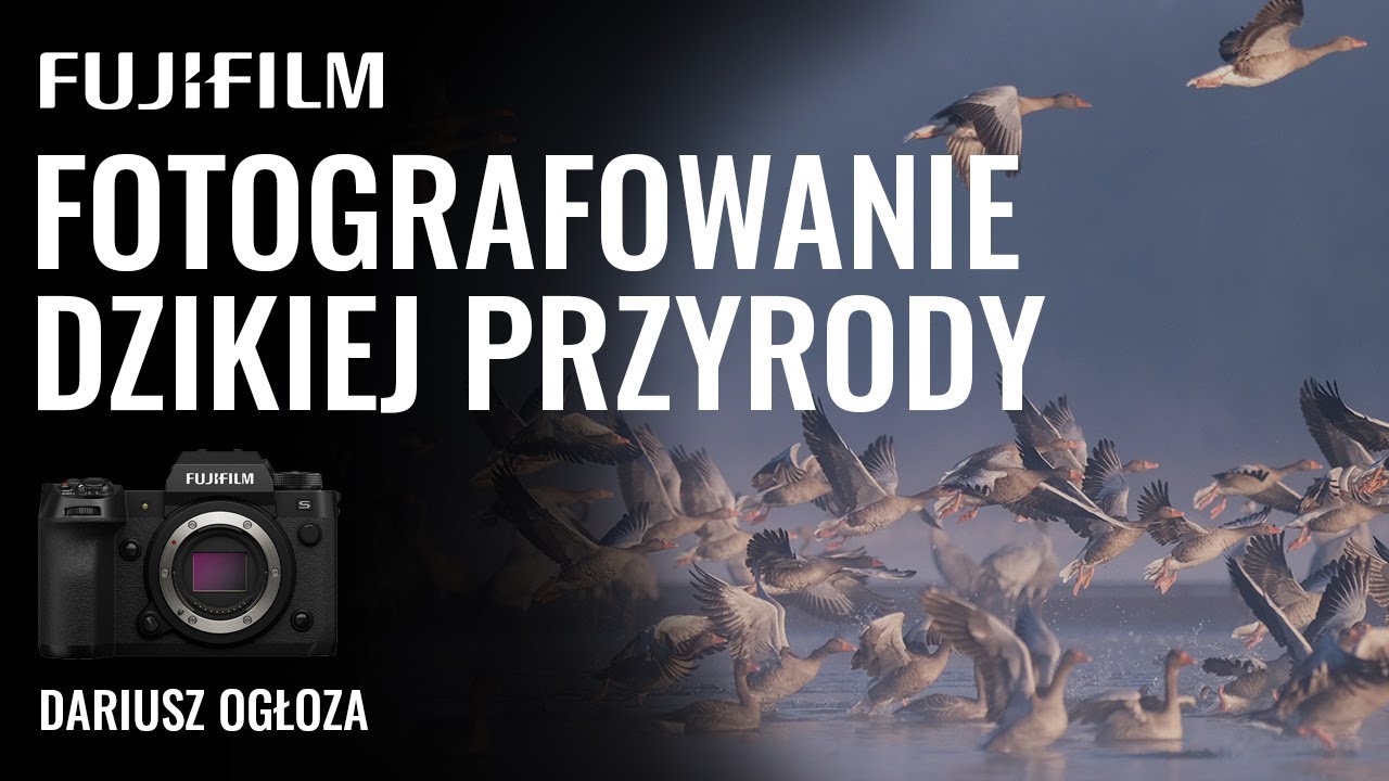 Fotografowanie dzikiej przyrody | Fujifilm X-H2S | Dariusz Ogłoza |