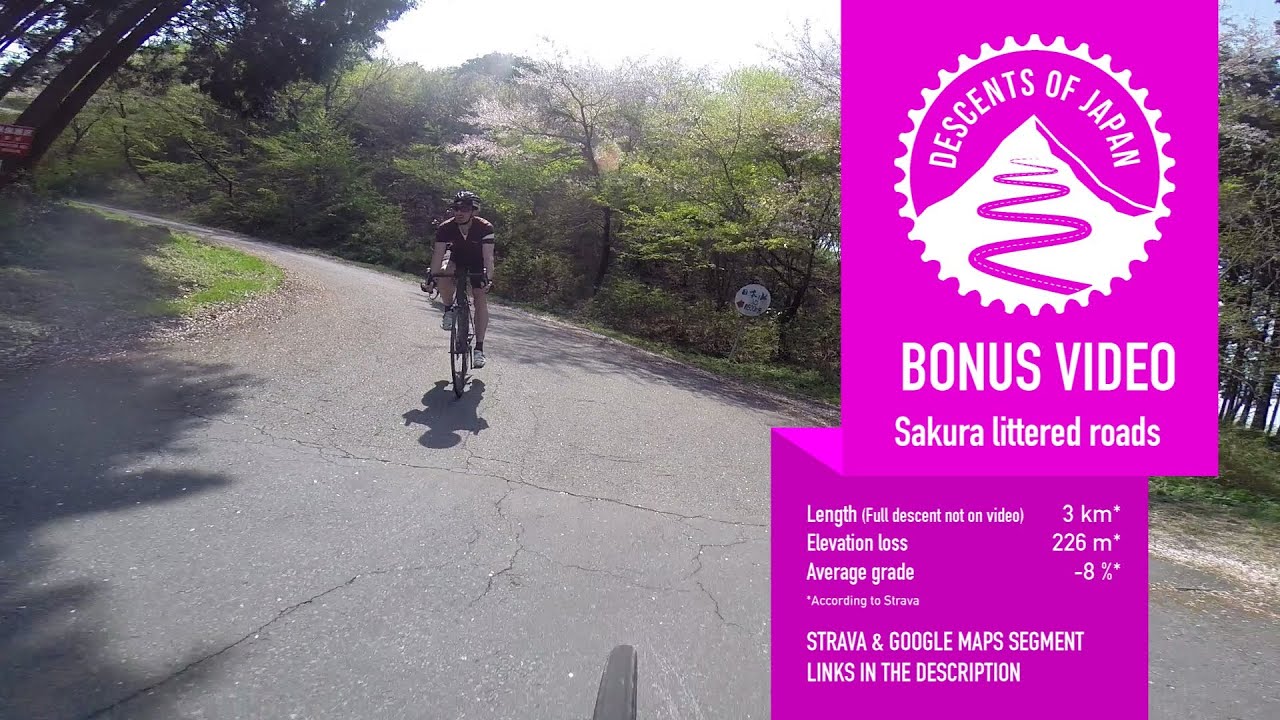 Road Bike - Descents of Japan: Sakura littered roads. GoPro - cycling