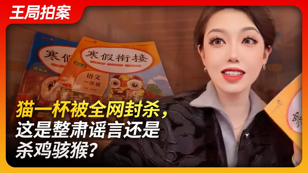 猫一杯被全网封杀，这是整肃谣言还是杀鸡骇猴？｜秦朗｜小学生｜猫一杯｜网红｜摆拍｜造谣｜户晨风｜封杀｜王局拍案20240417