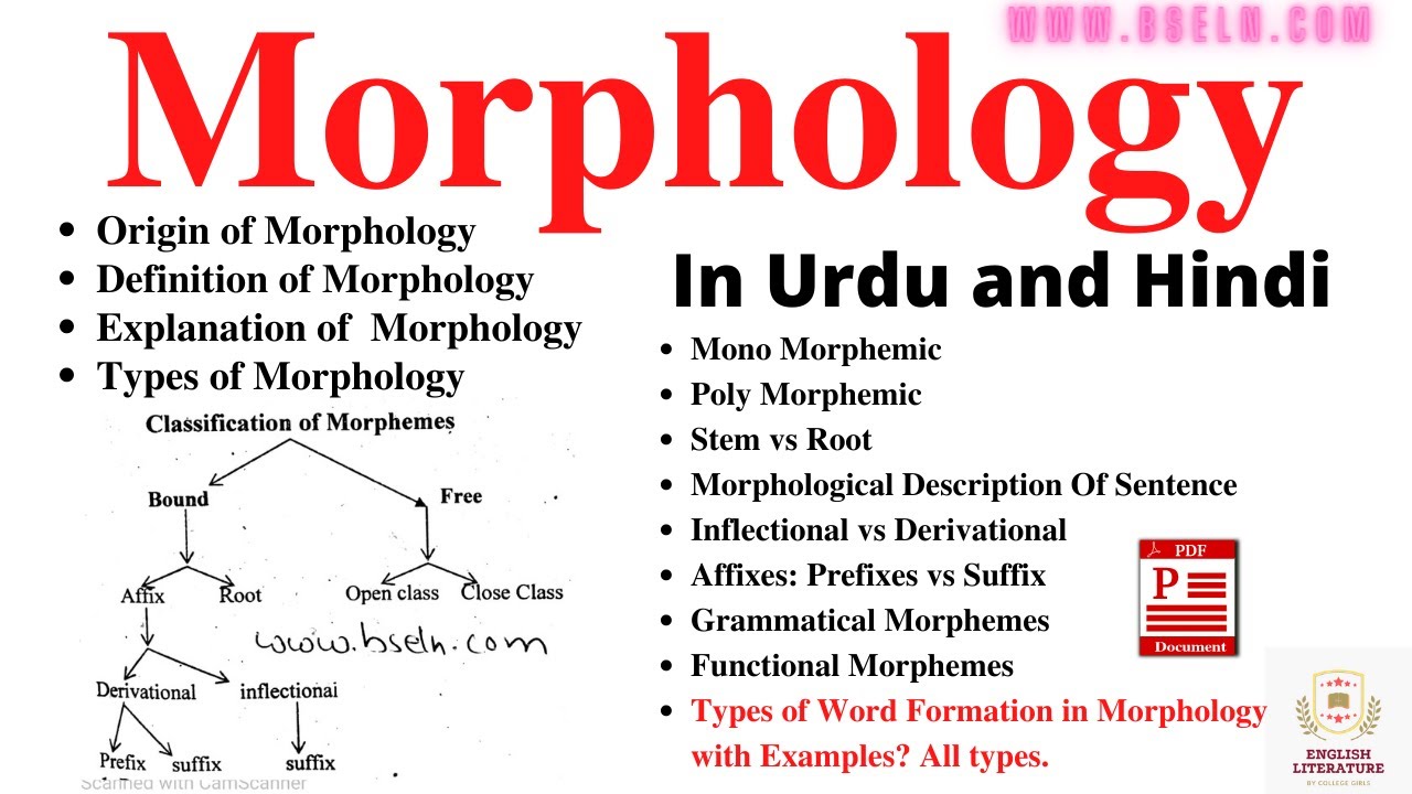 Morphology, Word Formation In Morphology, Morphological Analysis Sentence, Types Of Morpheme, PDF
