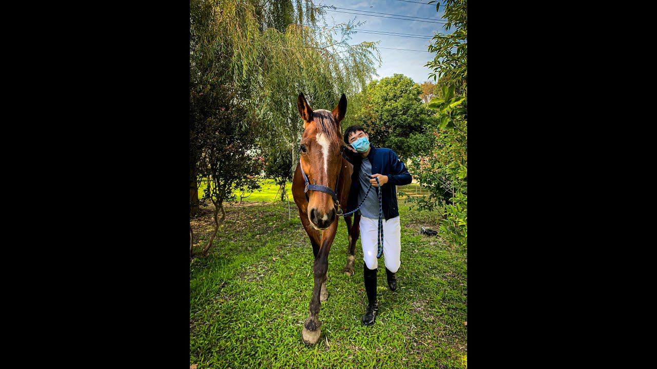 TAIWAN | Riding horses | Equestrian 