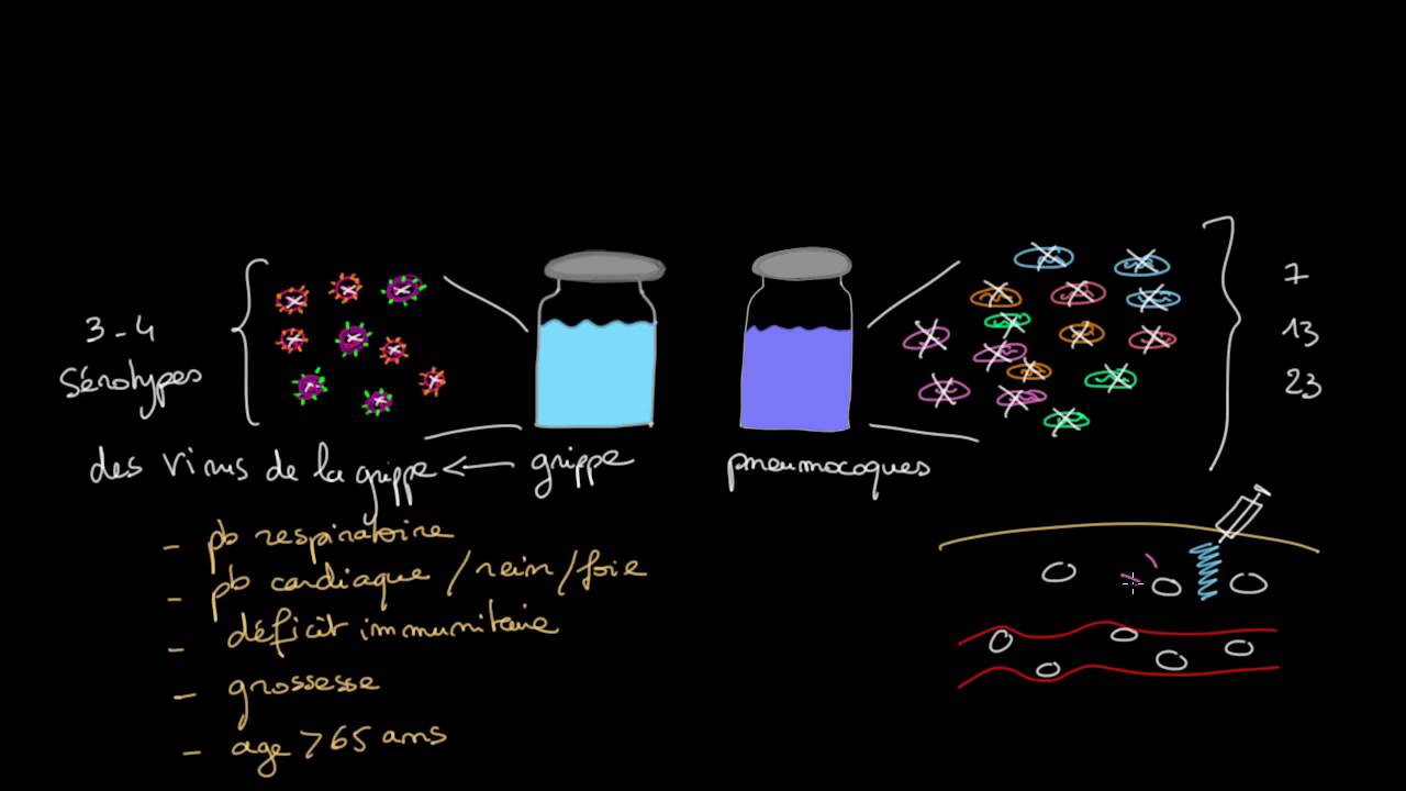 Vaccins contre la grippe et les pneumocoques