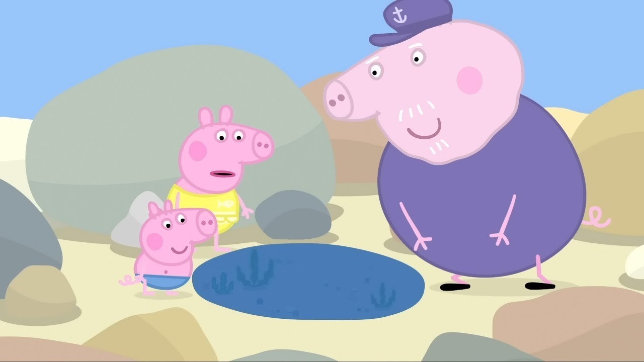 Prasátko Peppa | Skalní bazény | Karikatury Pro Děti
