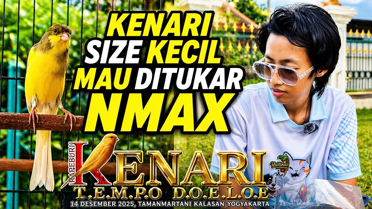 VLOG GANTANGAN‼️Ketemu KENARI KECIL yg mau dituker NMAX di Gelaran PAPBURI PUSAT YOGYAKARTA...