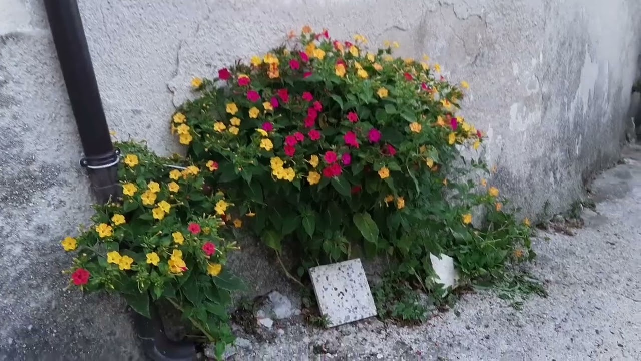 Аутентичность маленькой  Итальян cкой  деревни. Galdo, provincia  di Salerno .