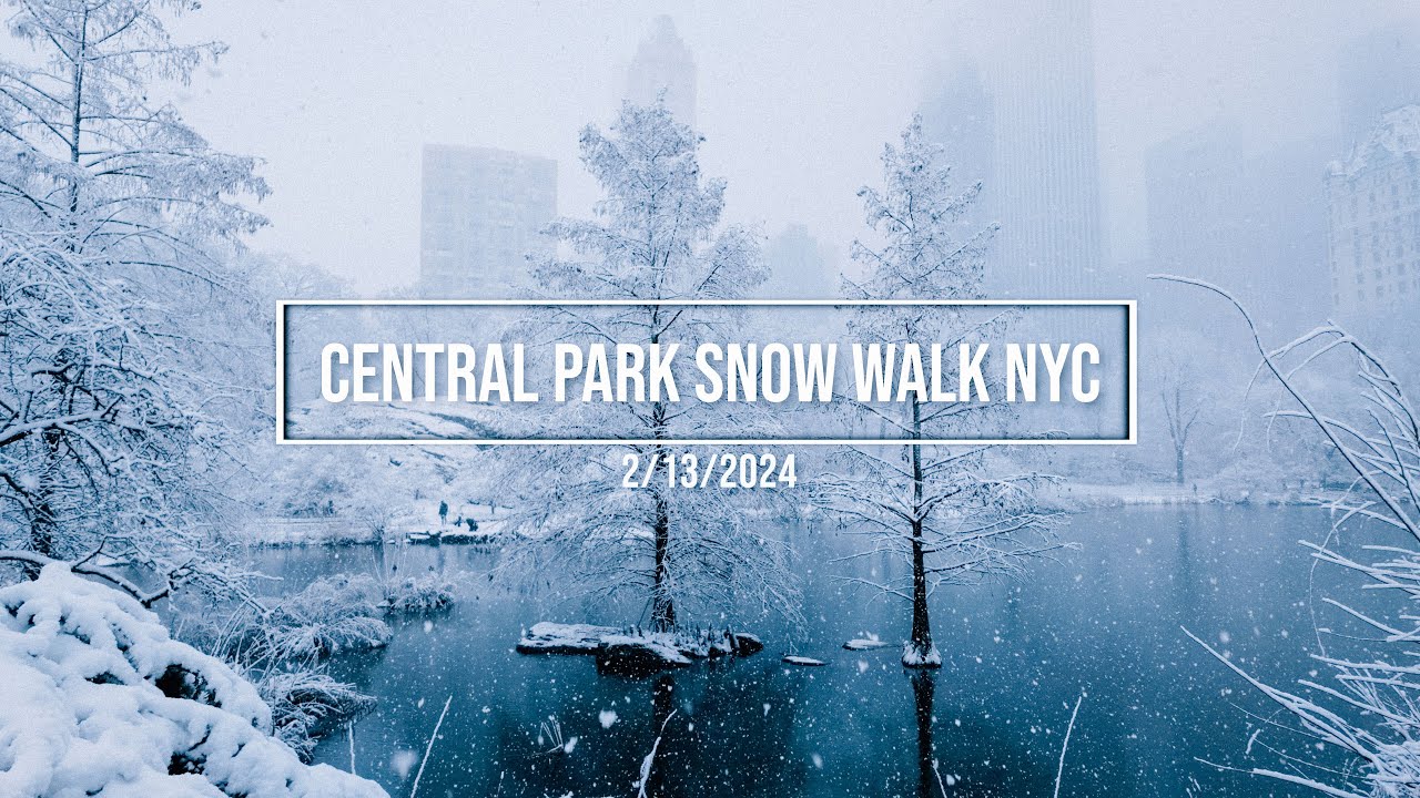 Serene Snow Walk in Central Park NYC - A winter wonderland ❄️ Prepare for 2025!