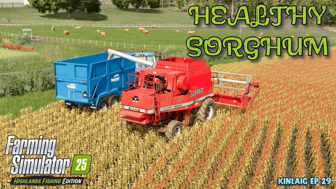 HARVESTING SEASON BEGINS WITH SORGHUM HARVEST - HIGHLANDS FISHING EPISODE 29 - FARMING SIMULATOR 25
