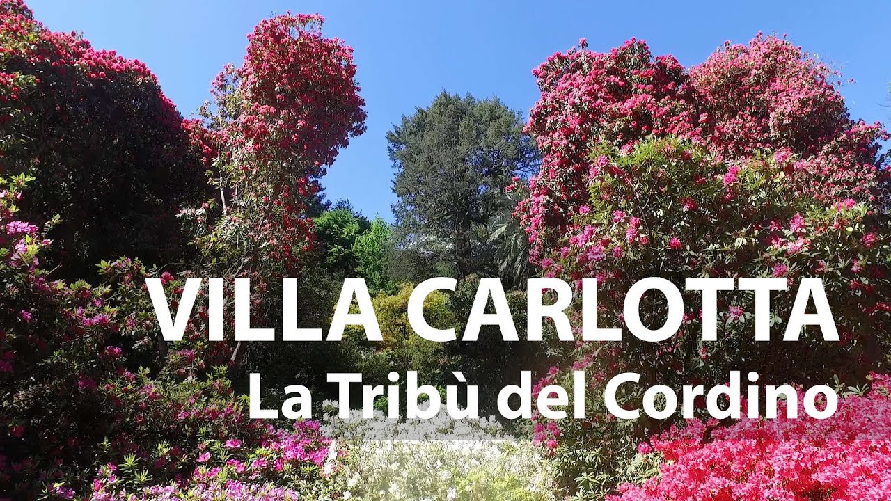 Villa Carlotta - Tribe Travels #02