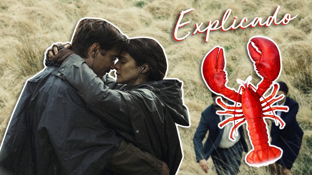 Explicando o Filme O Lagosta (The Lobster) - Discussão COM SPOILERS