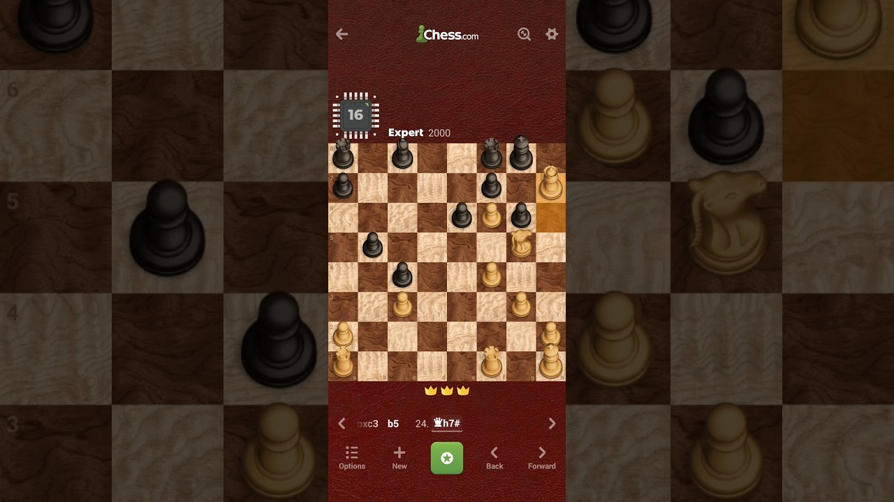 Chess Challenge Win vs. Bot/Engine 16 - Expert (2000) - chess.com - [2nd Win] - Game+Analysis/Review