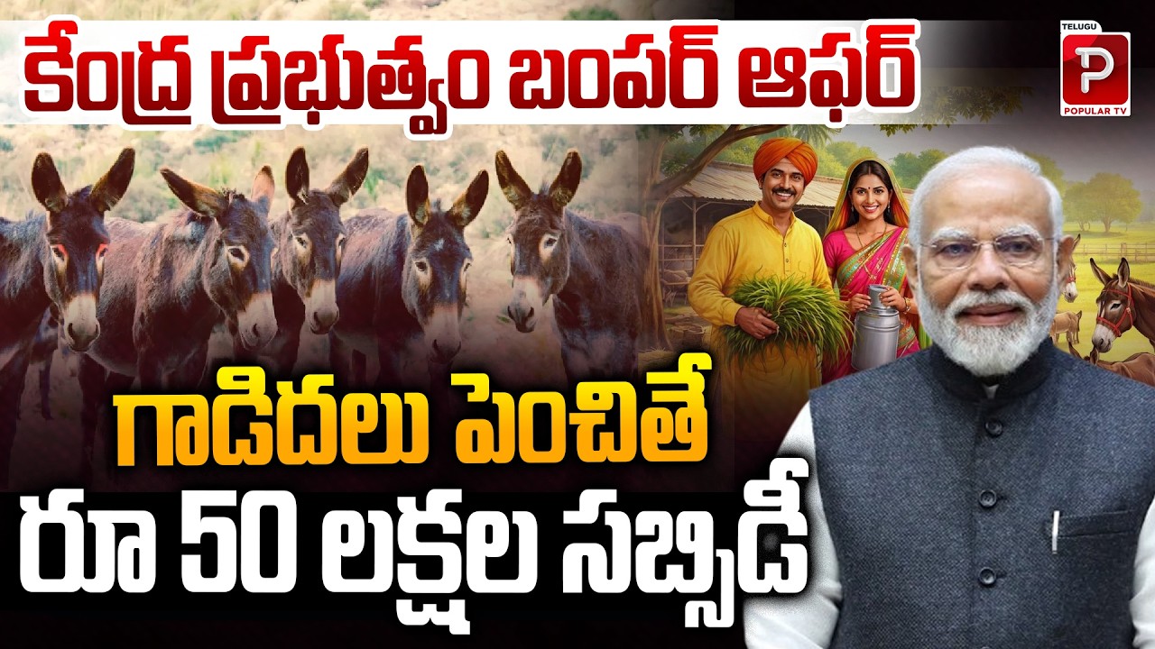 Central Government Offers ₹50 Lakh Subsidy for Donkey Farming | Earn Big with Donkey Farming Subsidy