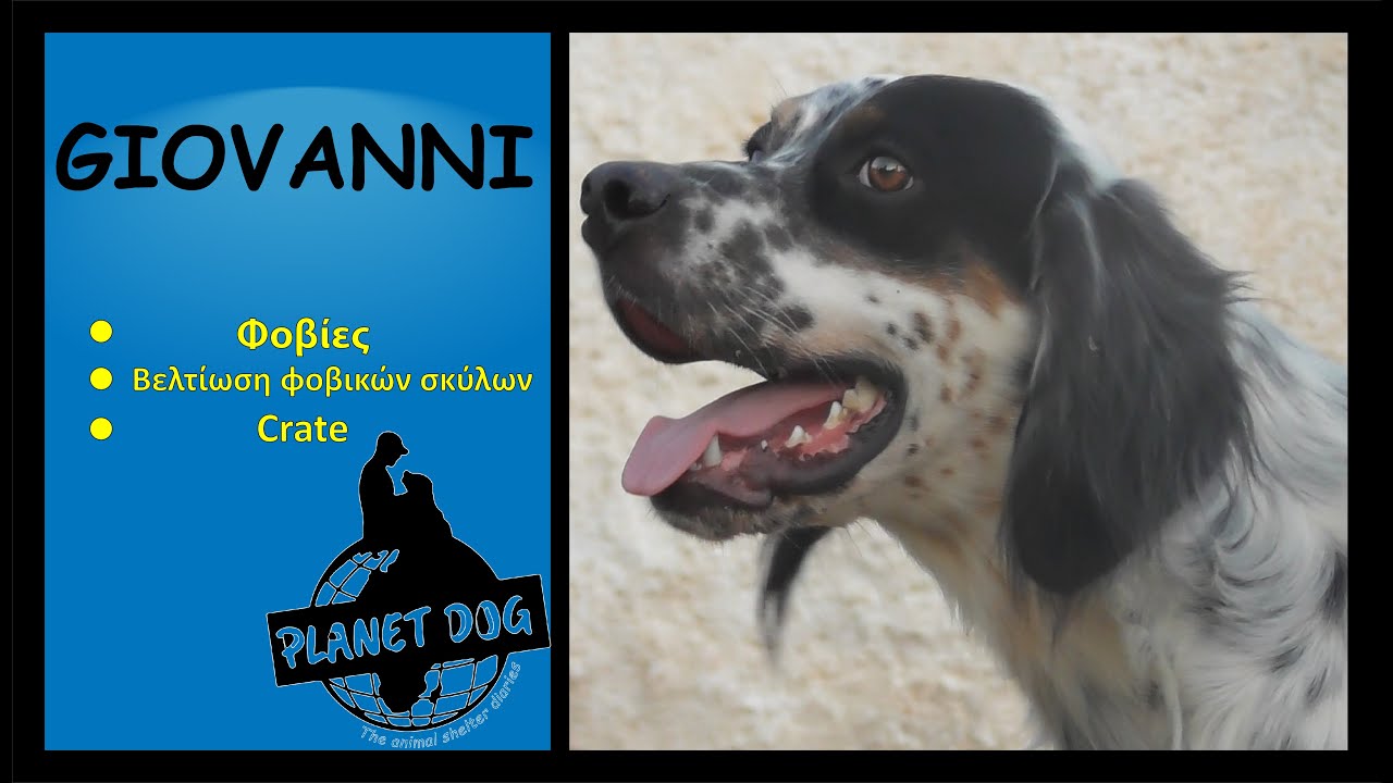 Planet Dog - Giovanni - Φοβίες/Βελτίωση φοβικών σκύλων/Crate