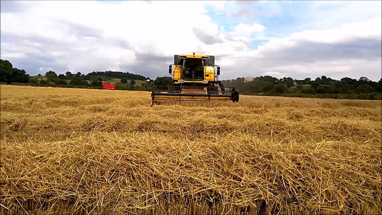 Irish Grain Harvet Borris Co Carlow, 2016 -New Holland CS640 Combine