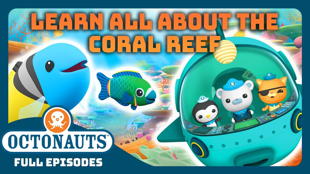 @Octonauts - 🌈 Colorful Underwater Sea Education! 🌊 | 1 Hours+ Full Episode Marathon