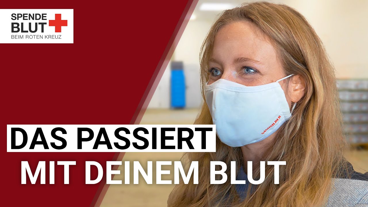 Was passiert nach der Blutspende?
