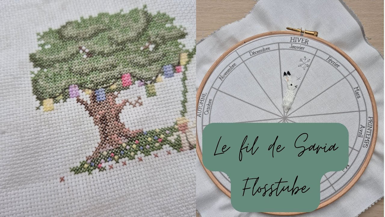 Flosstube - Le début d'une grande aventure